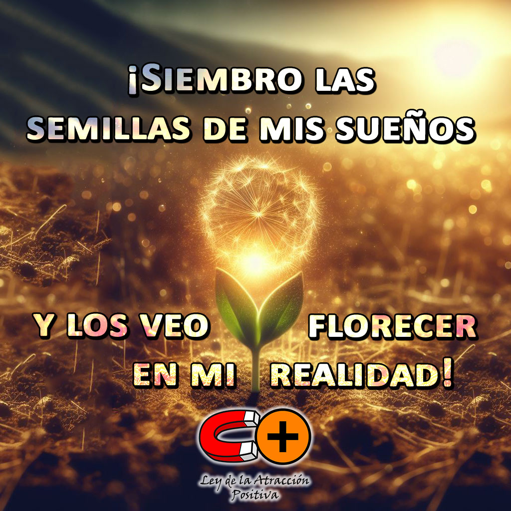 Ley de la Creación: "Desde mi interior, siembro las semillas de mis sueños y los veo florecer en mi realidad".