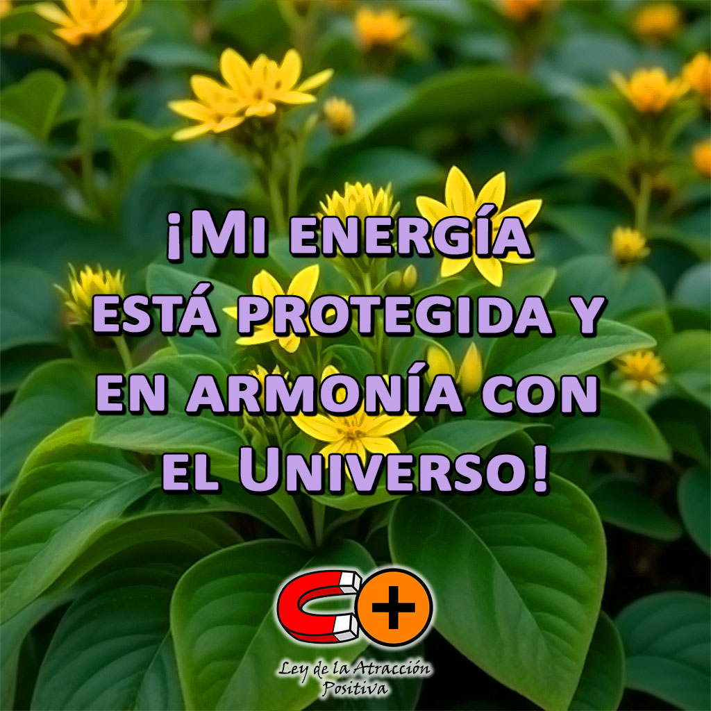 Ruda para protegerse del Mal de Ojo: "Mi energía está protegida y en armonía con el universo"