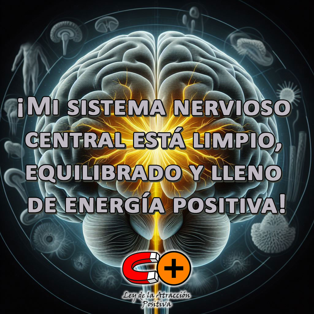 Limpiar el Sistema Nervioso Central: Mi sistema nervioso central está limpio, equilibrado y lleno de energía positiva.