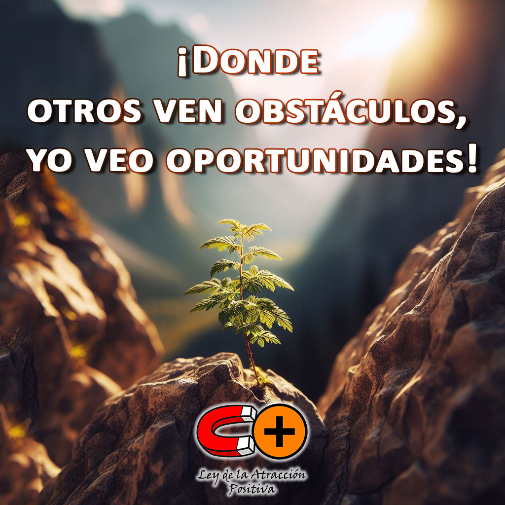 Afirmaciones del Yo Soy 1: Donde otros ven obstáculos, yo veo oportunidades.