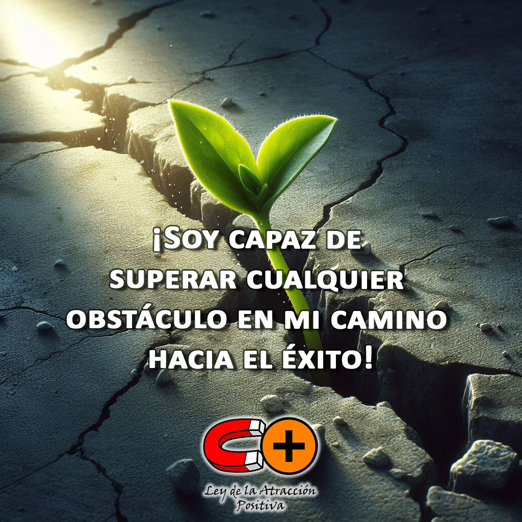 Seminario Fénix, por Brian Tracy, Módulo 16: “Soy capaz de superar cualquier obstáculo en mi camino hacia el éxito”.